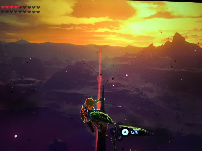 Illustration for article titled Here are Some of my Favorite Screenshots from The Legend of Zelda: Breath of the Wild